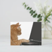 Rechenkatze Postkarte (Stehend Vorderseite)