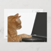 Rechenkatze Postkarte (Vorne/Hinten)