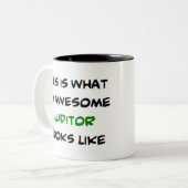 Rechnungsprüfer, phantastisch zweifarbige tasse (Vorderseite Links)