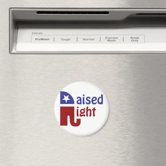 Recht erhöht magnet (In Situ (Geschirrspüler))