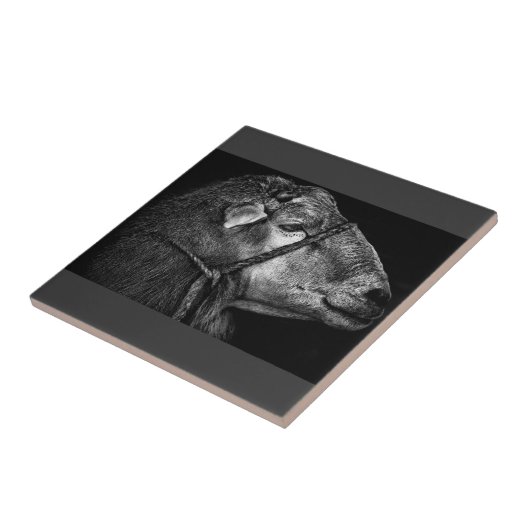 Recht Fliese (Seite)