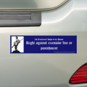 Recht gegen übermäßige Geldstrafe oder Bestrafung Autoaufkleber (Auf Auto)