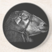 Recht Getränkeuntersetzer (Vorne)