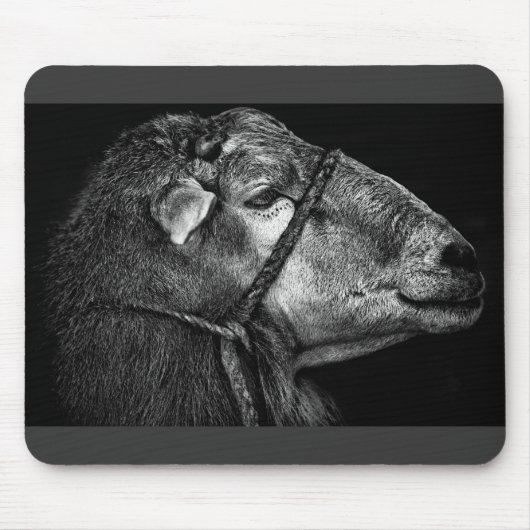 Recht Mousepad (Vorne)