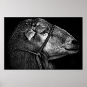 Recht Poster (Vorne)