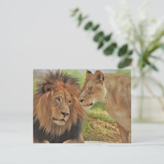 Recht  postkarte (Stehend Vorderseite)