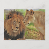 Recht  postkarte (Vorderseite)