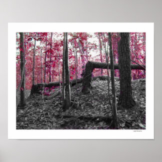 rechte Augengläser Poster