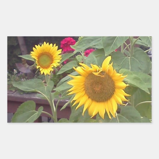 Rechteckiger Aufkleber mit 2 Sonnenblumen (Vorderseite)