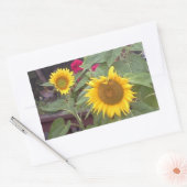Rechteckiger Aufkleber mit 2 Sonnenblumen (Umschlag)