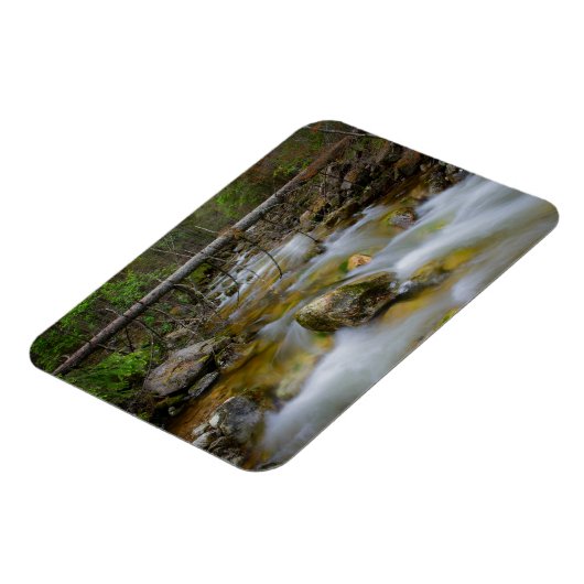 Rechteckmagnet Magnet (Linke Seite)