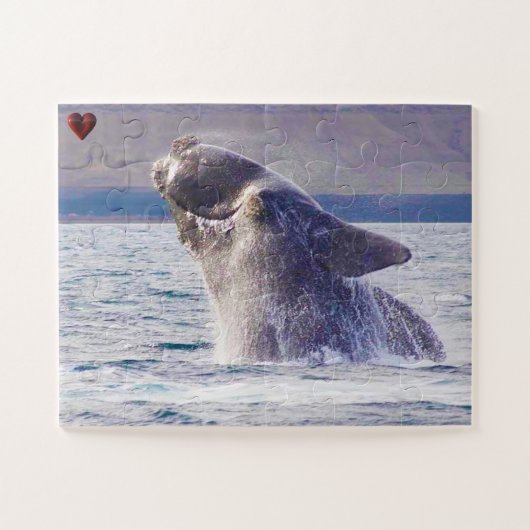 Rechter Whale Puzzle (Horizontal)