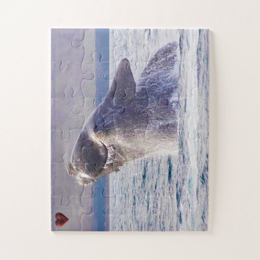Rechter Whale Puzzle (Vertikal)
