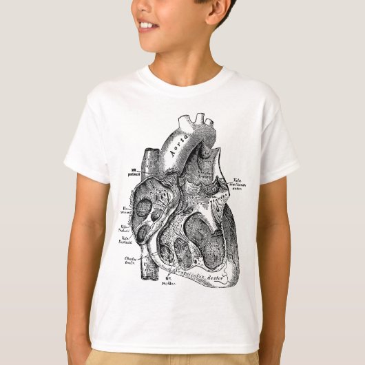 Rechtskammer des T-Shirts zur Anatomie des menschl (Vorderseite)