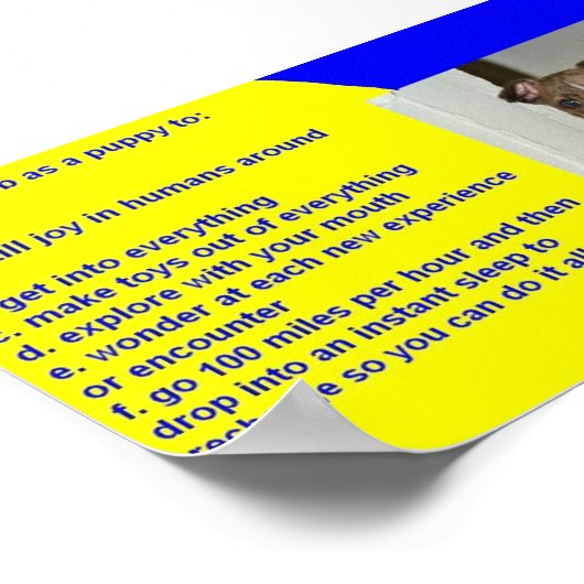 RECHTSVORSCHRIFTEN POSTER (Ecke)