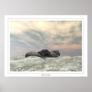 Récifs Poster