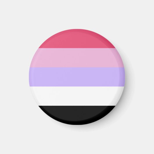 Reciprosexual Pride Flag Magnet (Vorne)
