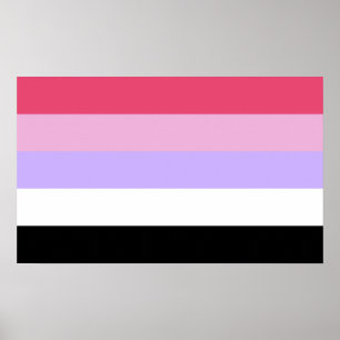 Reciprosexueller Stolz Poster