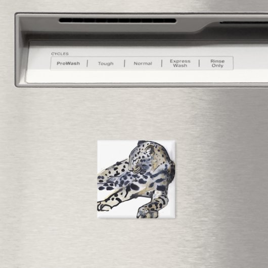 Recumbent Magnet (In Situ (Geschirrspüler))