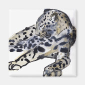 Recumbent Magnet (Vorne)