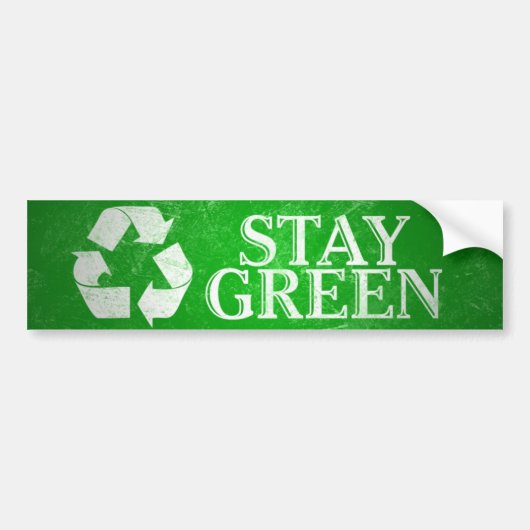 Recyceln Sie, bleibe Sie grünen Autoaufkleber (Vorne)
