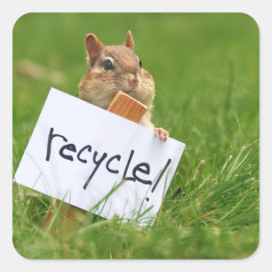 Recyceln von Chipmunk Quadratischer Aufkleber