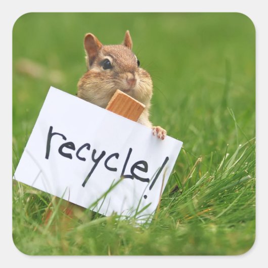 recycelnd Chipmunk Quadratischer Aufkleber (Vorderseite)