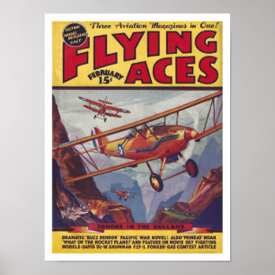 RECYCELTE KUNST: FLIEGENDE ASSEN ILLUSTRIERTER UMS POSTER