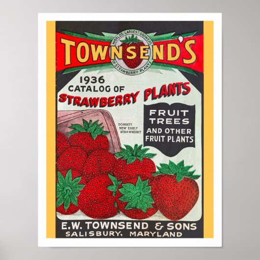 RECYCELTE KUNST: SAATKATALOG 1936 POSTER (Vorne)