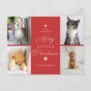 Red 4 Foto Merry Little Christmas Pet Holiday Feiertagspostkarte