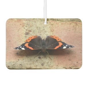 Red Admiral Butterfly Air Freshener Autolufterfrischer