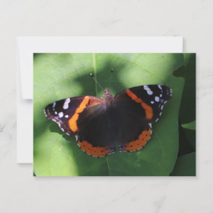 Red Admiral Butterfly auf grünen Blätter Postkarte