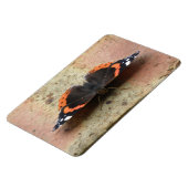 Red Admiral Butterfly Flexi Magnet (Linke Seite)