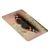 Red Admiral Butterfly Flexi Magnet (Rechte Seite)