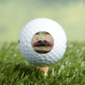 Red Admiral Butterfly Golf Ball (Insitu T-Shirt)