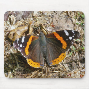 Red Admiral Butterfly Mousepad