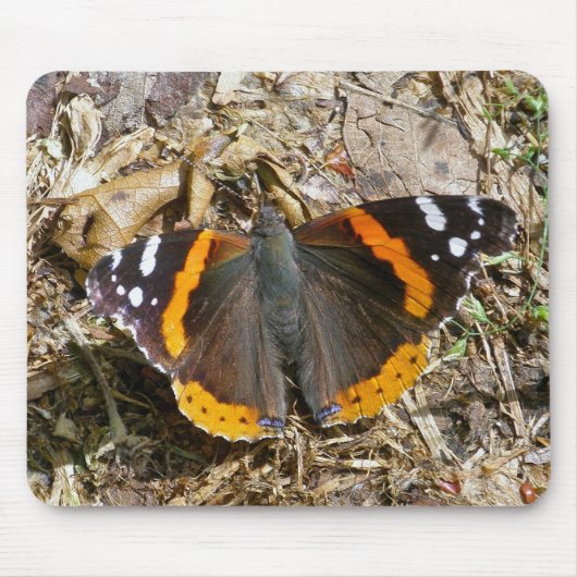 Red Admiral Butterfly Mousepad (Vorne)