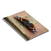 Red Admiral Butterfly-Notebook Notizblock (Rechte Seite)