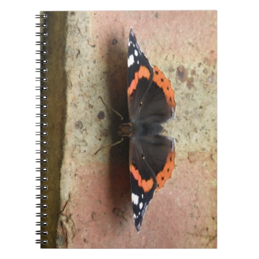 Red Admiral Butterfly-Notebook Notizblock (Vorderseite)