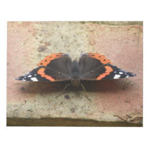 Red Admiral Butterfly Notepad Notizblock