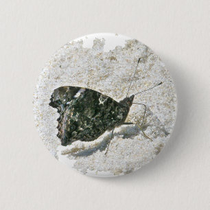 Red Admiral Butterfly on Beach Coordinated Items Button