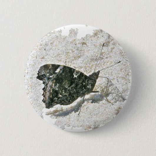 Red Admiral Butterfly on Beach Coordinated Items Button (Vorderseite)