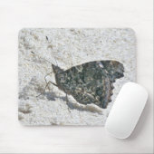 Red Admiral Butterfly on Beach Coordinated Items Mousepad (Mit Mouse)