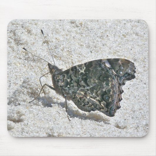 Red Admiral Butterfly on Beach Coordinated Items Mousepad (Vorne)