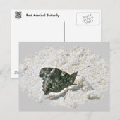 Red Admiral Butterfly on Beach Coordinated Items Postkarte (Vorne/Hinten)