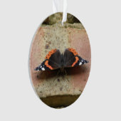 Red Admiral Butterfly Ornament (Vorderseite)