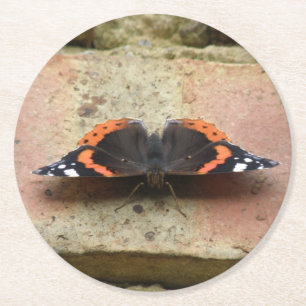 Red Admiral Butterfly Paper Untersetzer