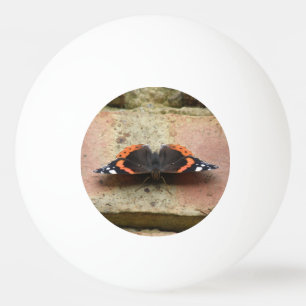 Red Admiral Butterfly Ping Pong Ball Tischtennisball