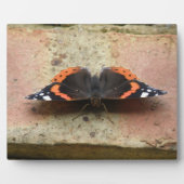 Red Admiral Butterfly Plaque Fotoplatte (Vorderseite)