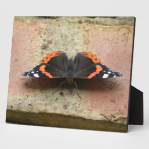 Red Admiral Butterfly Plaque Fotoplatte